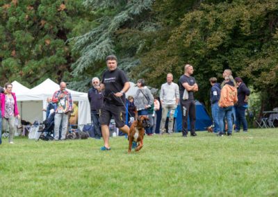 SwissBoxer-DogShow-2019-©BoxerClubGVA-(145)
