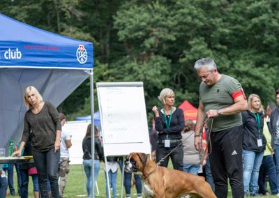 SwissBoxer-DogShow-2019-©BoxerClubGVA-(151)