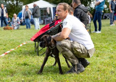SwissBoxer-DogShow-2019-©BoxerClubGVA-(177)