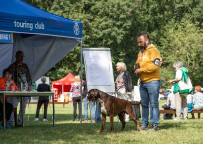 SwissBoxer-DogShow-2019-©BoxerClubGVA-(294)
