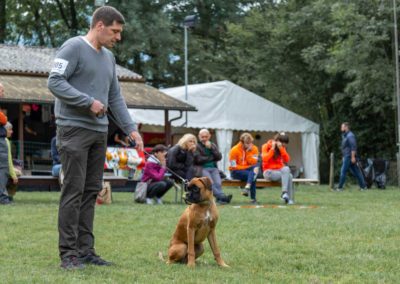 SwissBoxer-DogShow-2019-©BoxerClubGVA-(34)