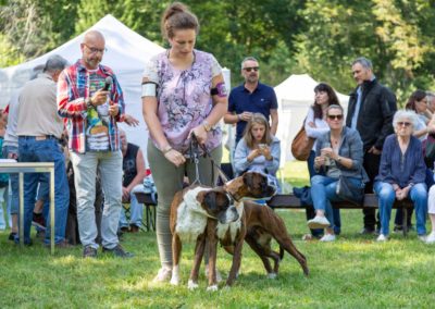 SwissBoxer-DogShow-2019-©BoxerClubGVA-(354)