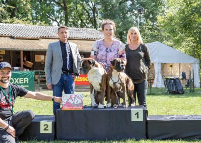 SwissBoxer-DogShow-2019-©BoxerClubGVA-(365)
