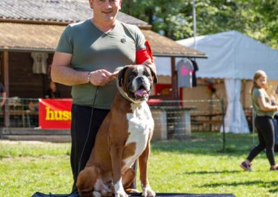SwissBoxer-DogShow-2019-©BoxerClubGVA-(378)
