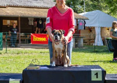 SwissBoxer-DogShow-2019-©BoxerClubGVA-(383)