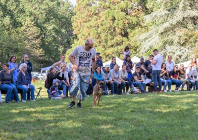 SwissBoxer-DogShow-2019-©BoxerClubGVA-(411)
