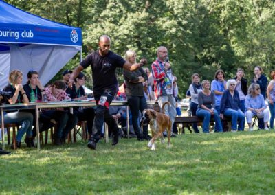 SwissBoxer-DogShow-2019-©BoxerClubGVA-(425)