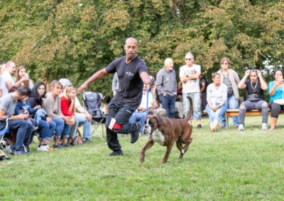 SwissBoxer-DogShow-2019-©BoxerClubGVA-(481)