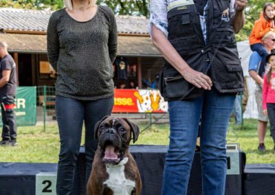 SwissBoxer-DogShow-2019-©BoxerClubGVA-(490)