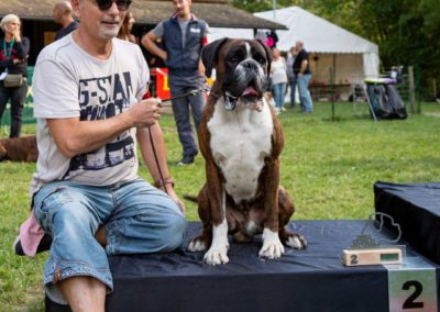 SwissBoxer-DogShow-2019-©BoxerClubGVA-(493)