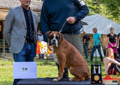 SwissBoxer-DogShow-2019-©BoxerClubGVA-(514)