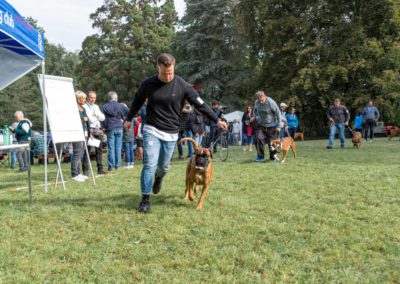 SwissBoxer-DogShow-2019-©BoxerClubGVA-(62)
